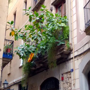 IMG_20150613_181810142