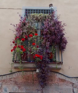 IMG_20150613_184737446