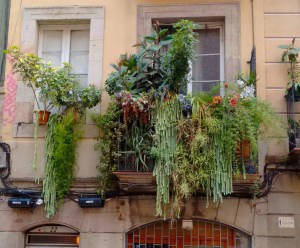 IMG_20150613_194730266